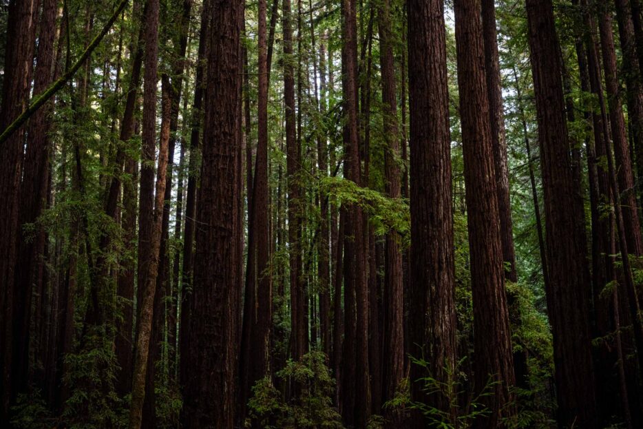 2026 APA California Chapter Award of Excellence in Resilience and Sustainability